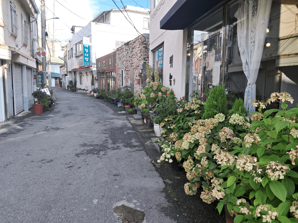 안저자거리 : 저자는 옛날에 시장이다. 목포는 1897년 개항 후 작은 골목에 최초로 시장을 형성하여 안 저자거리라고 했다.